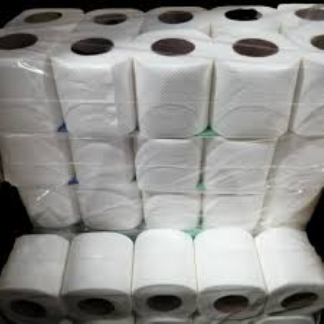 BORA TOILET TISSUE WHITE 10'S
